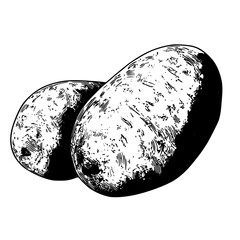 Poster - Potatoes in a simple design showcasing their unique shapes and textures on a plain background ideal for culinary illustrations