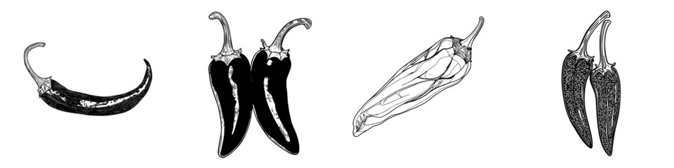 Poster - Colorful illustrations of various chili peppers from different angles in a decorative display for culinary inspiration