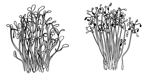 Poster - Intricate line art of plant-like forms showcasing delicate and organic shapes in a minimalist design style
