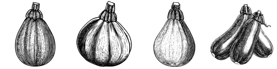 Poster - Various hand-drawn squash illustrations showcasing unique shapes and sizes in a creative design