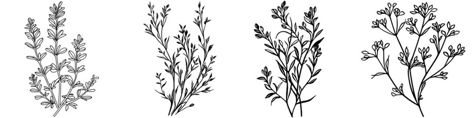 Poster - Decorative botanical illustrations showcasing various plant species in detailed line art style