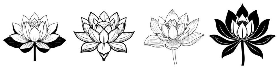 Poster - Beautiful sketches of different lotus flowers showcasing unique designs and styles in a harmonious arrangement
