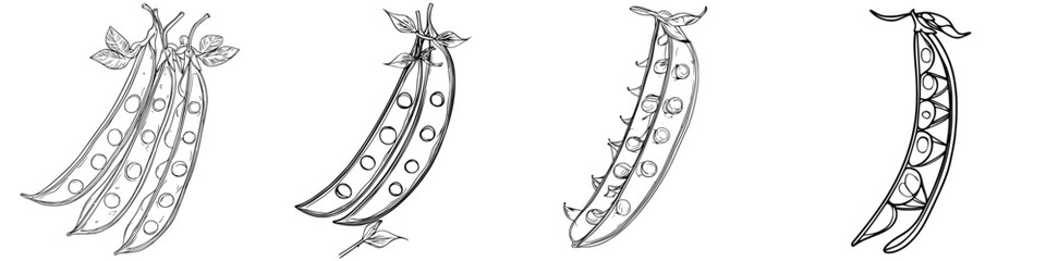 Poster - Various unique sketches of green peas showcasing different designs and styles in a creative collection