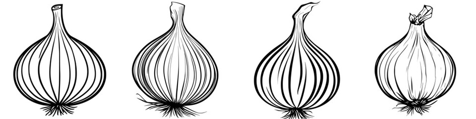 Poster - Different varieties of onions displayed in a detailed artistic style showcasing their unique shapes and textures