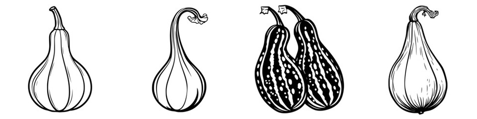 Poster - Various hand-drawn squash varieties showcasing unique shapes and details in black and white line art