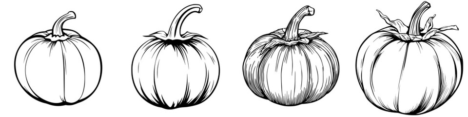 Poster - Detailed black and white illustrations of various pumpkin shapes and sizes showcasing the beauty of autumn harvest