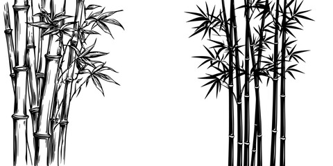 Poster - Detailed illustration of bamboo plants showcasing nature's beauty and diversity in a minimalist design