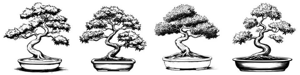 Poster - Different styles of bonsai trees displayed in pots showcasing unique shapes and sizes in an artful arrangement