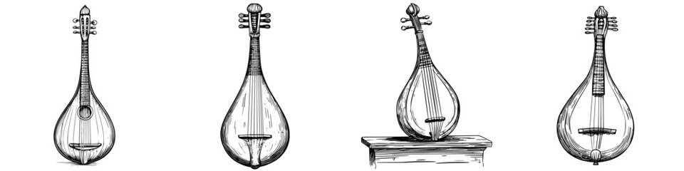 Poster - Various traditional string instruments displayed in a row highlighting their unique features and craftsmanship