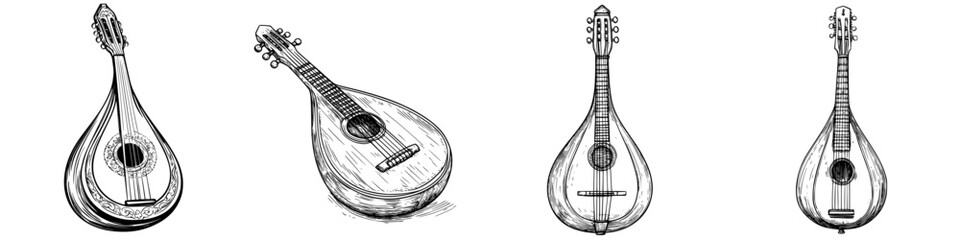 Poster - Various styles of string instruments showcasing craftsmanship and design from different angles in black and white