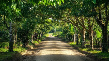 Poster - A guava tree-lined path in a rural tropical village during a serene afternoon. 