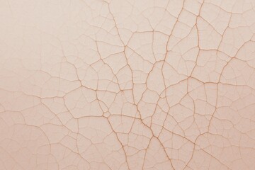 Poster - Close-up view of a cracked surface forming a network of veins, resembling a delicate pattern on a beige background, creating a visually captivating texture