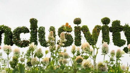 Poster - The word in the image is 