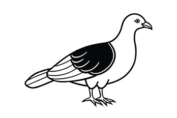 Poster - Black and White Pigeon Illustration Bird, Outline, Drawing, Feathers, Wings, Avian, Nature, Graphic,