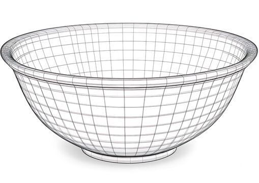 Wireframe Bowl, Studio Shot