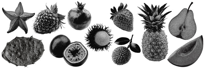 Wall Mural - set of fruit halftone grunge vector design elements