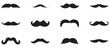 © Shehab - set of mustache. collection of mustaches. set of mustaches. set of mustache vector