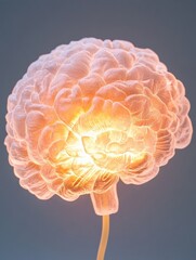 Fototapete - Neuroscience Illumination Glowing Organic Brain Visualization - Cutting-Edge Cognitive Performance and Mental Wellness Insights for Next-Gen Innovation