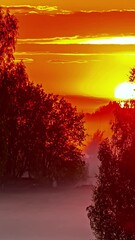 Wall Mural - Vertical View Of Sun Setting Against Colorful Sky. Timelapse