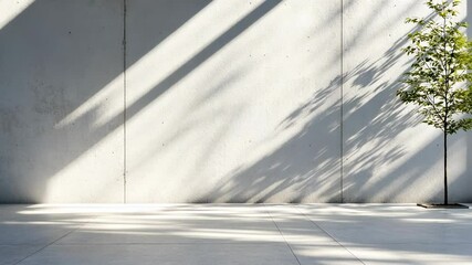Aufkleber - Sunlight streams through a window, casting shadows across a minimalist white copy room space featuring for text video 4k