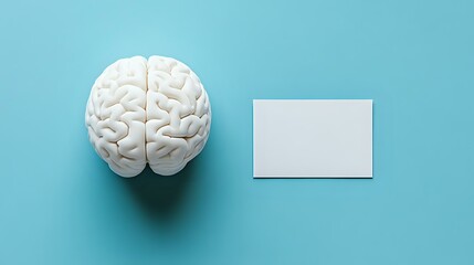 Poster - White anatomical brain model next to blank business card on turquoise background, minimalist medical concept for neurology, psychology and mental health studies.