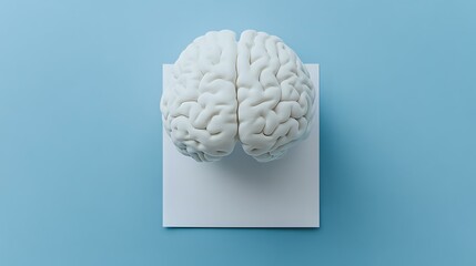 Aufkleber - White anatomical brain model on light blue background with soft shadow, minimalist medical concept for neuroscience, psychology and mental health studies.