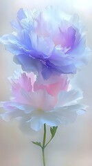Poster - Delicate carnations in soft blue and pink pastels with ruffled petals against misty background, creating dreamy floral artwork suitable for romantic designs.