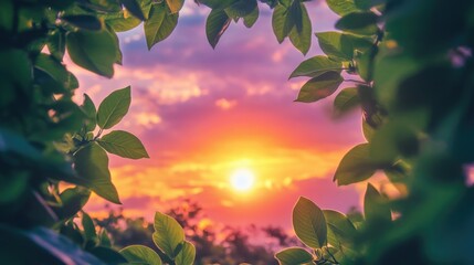 Poster - A beautiful sunset framed by lush green leaves, creating a natural border around a vibrant sky with warm orange, pink, and purple hues.