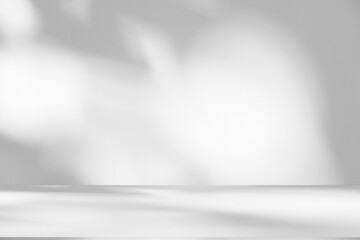 Poster - Wall interior background, studio and backdrops show products.with shadow from window color white and grey. background for text insertion and presentation product	