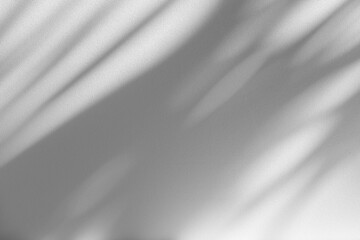 Poster - wall interior background, studio and backdrops show products.with shadow from window color white and