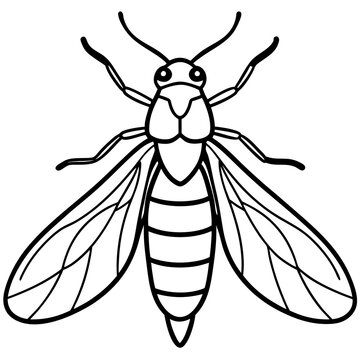 Minimal Firefly Line Vector Art