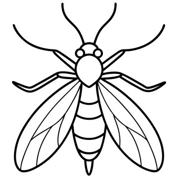 Minimal Firefly Line Vector Art