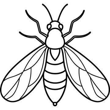 Minimal Firefly Line Vector Art