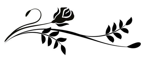 Poster - Ornament with rose flower. Text divider. Decorative element for decor and text greeting or invitation card design.