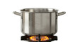 © Niklas - Isolated cooking pot on a burner