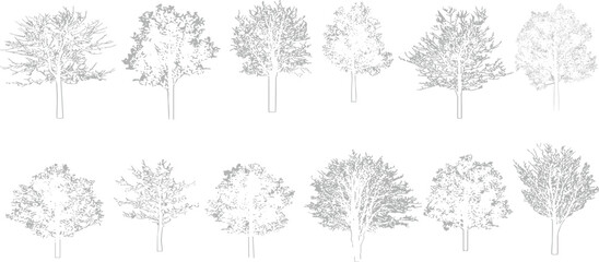 architectural drawings, minimal style cad tree line drawing, side view, set of section wetland fores