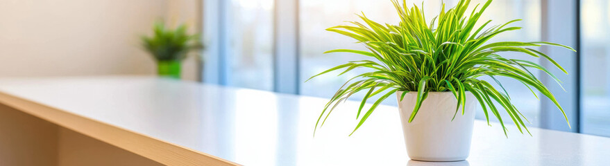 Aufkleber - vibrant green potted plant sits on sleek white table near large window, creating fresh and calming atmosphere with natural light streaming in