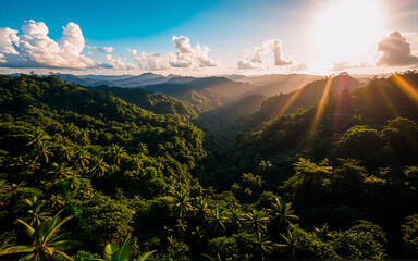 Poster - Sunlight illuminates a verdant valley filled with lush trees, with mountains stretching to the horizon under a bright, partly cloudy sky. A beautiful natural landscape.