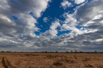 Wall Mural - a large, empty field with a few trees in the distance