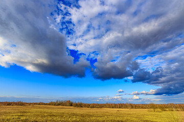 Wall Mural - a field with a blue sky and clouds