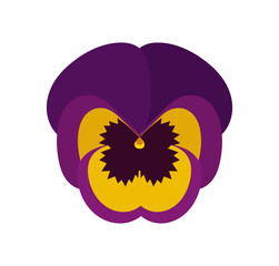 Wall Mural - pansy flower illustration on white background. cute flower flat design element. vector illustration.