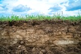 Exposed soil profile featuring layers of earth and green grass