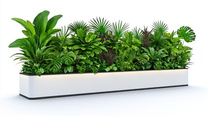 lush green tropical plants in modern white planter