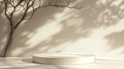 Poster - natural scene featuring circular podiums and soft tree shadow overlays on a beige surface, ideal for modern cosmetic and packaging mockups.