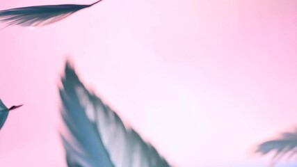Poster - Blue feathers are depicted on a pink background. The feathers are the main focus of the image.