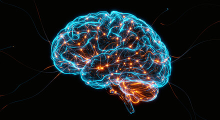 Poster - Human Brain Neural Network 3D Digital Illustration of Brain Structure and Connections