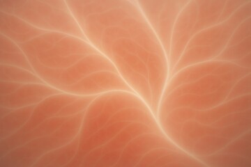 Poster - Smooth, flowing white lines branch out against a soft orange background, creating an abstract pattern resembling veins or energy currents, suitable for various design projects