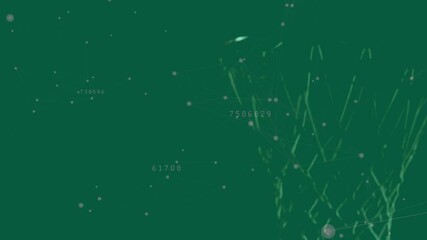 Poster - animation of abstract network connections with numbers on green background