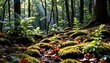© Na - Sunlit Forest Floor Create a scene of a forest floor dappled with sunlight, featuring moss, ferns, and scattered leaves.
