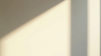 Poster - Soft sunlight creates delicate shadows on a warm wall during a quiet afternoon in a minimalistic interior space
